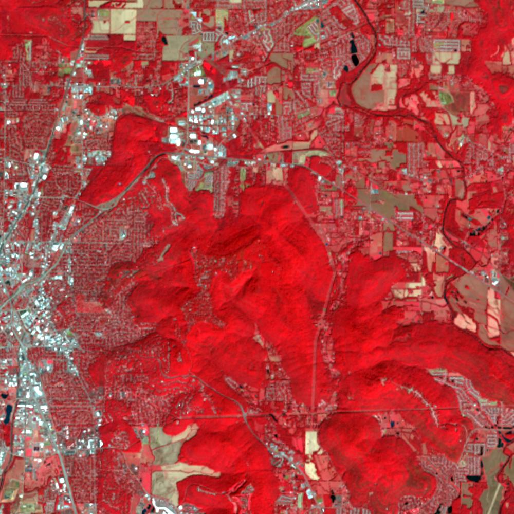 Landsat color-infrared false color (recent)
