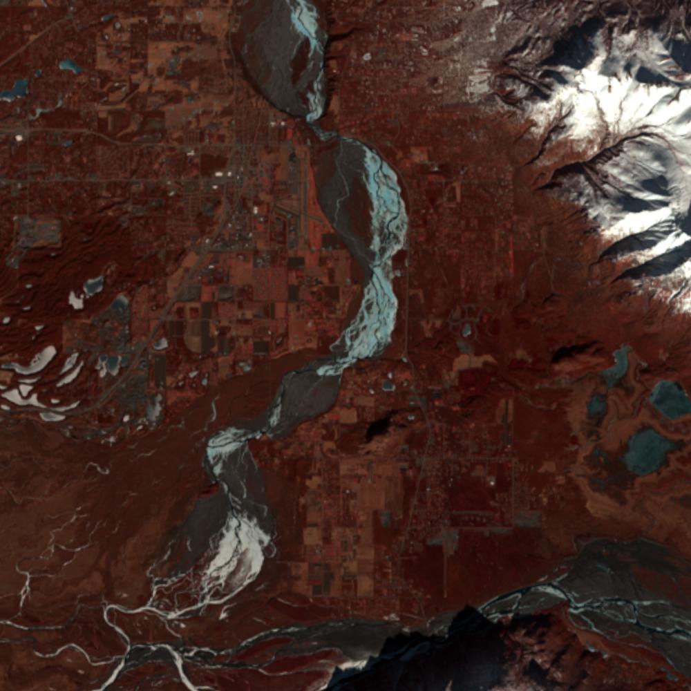 Landsat color-infrared false color (recent)
