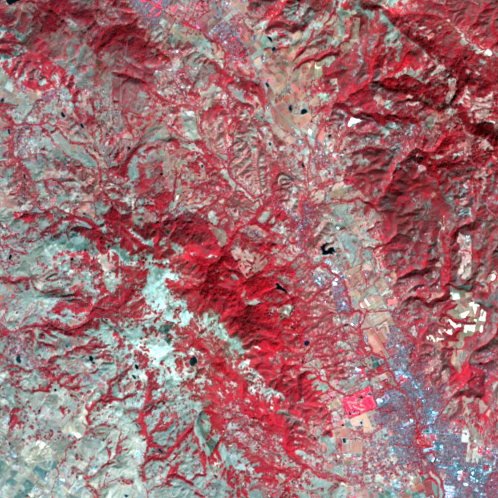 Landsat color-infrared false color (recent)