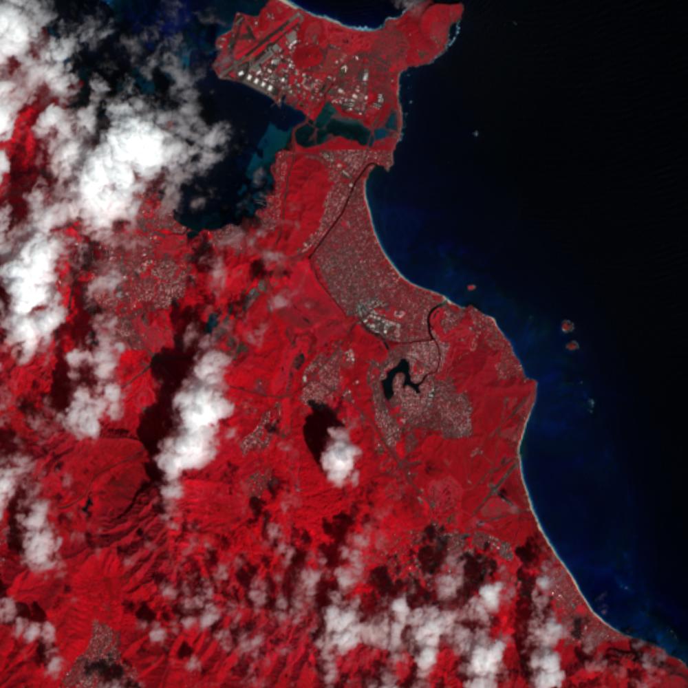 Landsat color-infrared false color (recent)