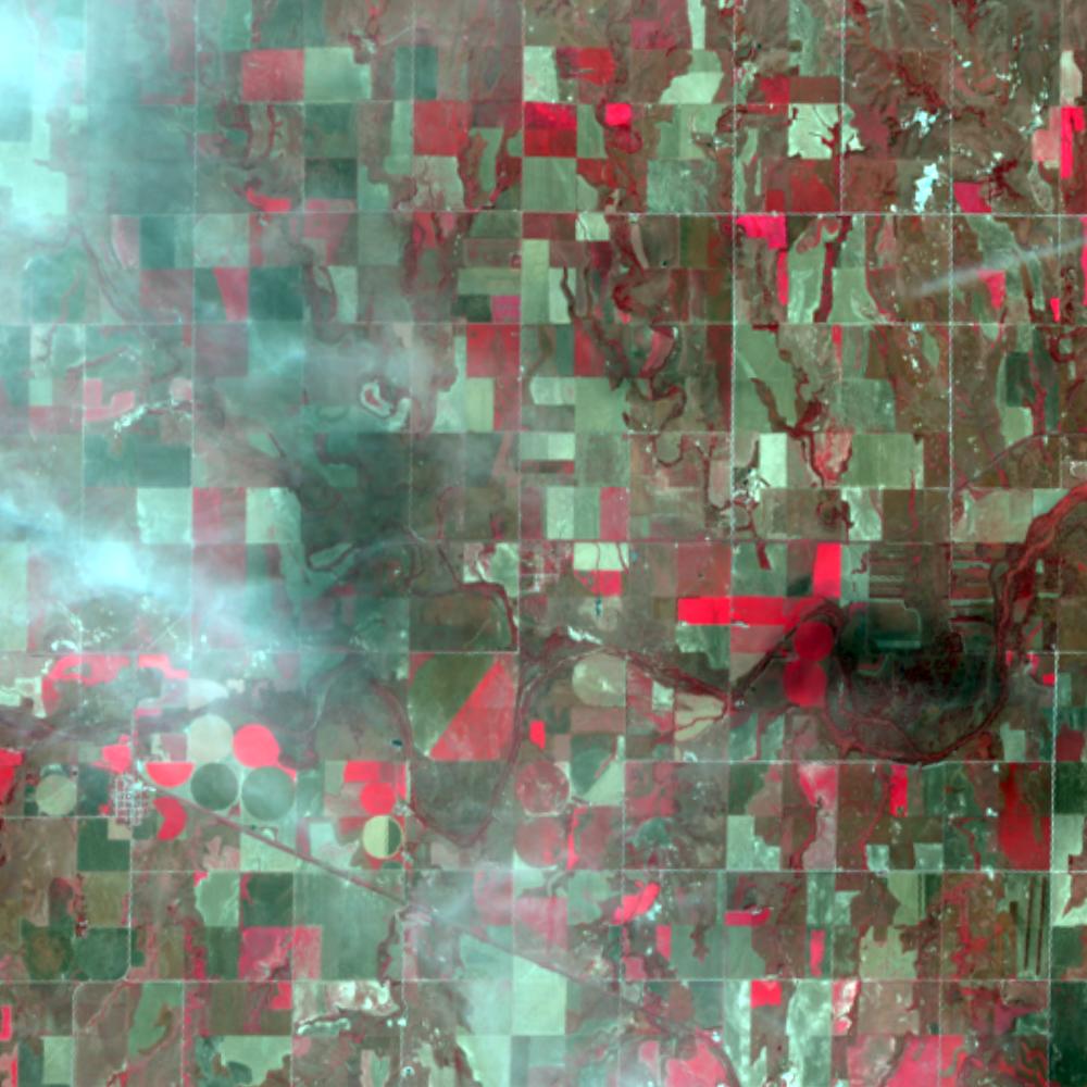 Landsat color-infrared false color (recent)