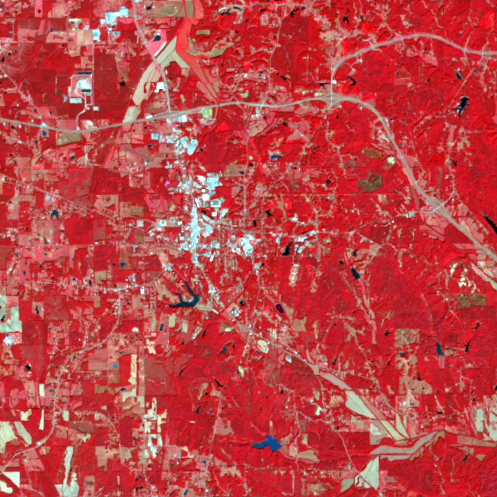 Landsat color-infrared false color (recent)