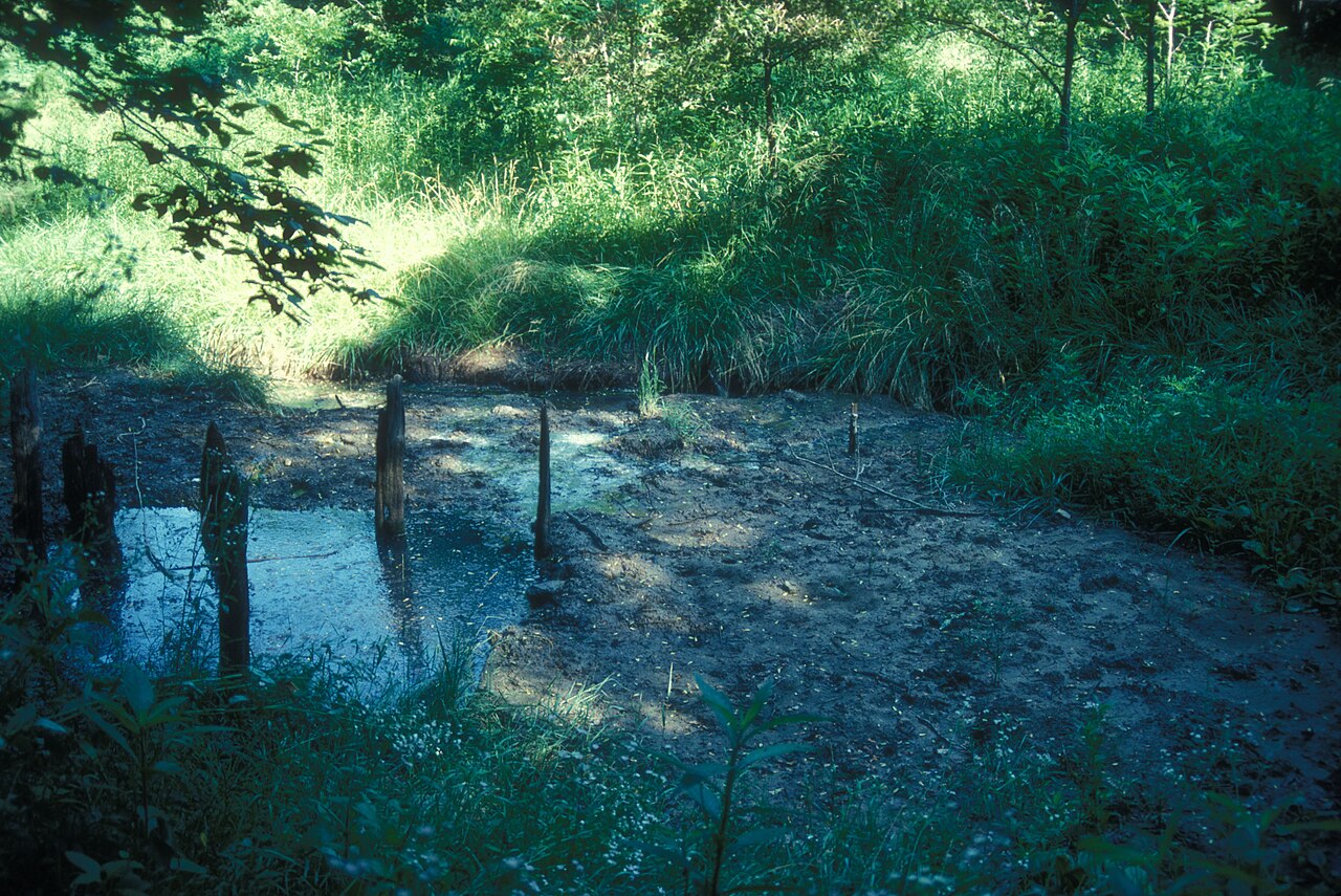 BOONSLICK STATE PARK.jpg