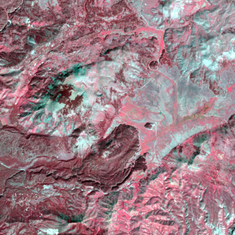 Landsat color-infrared false color (recent)