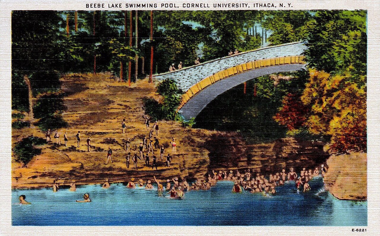 Cornell - Beebe Lake swimming pool.jpg
