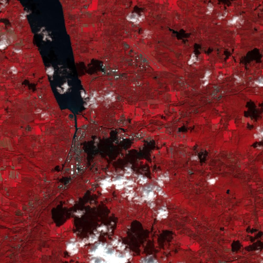 Landsat color-infrared false color (recent)