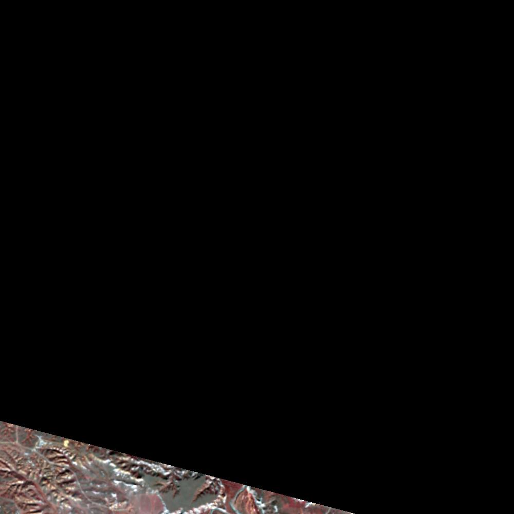 Landsat color-infrared false color (recent)