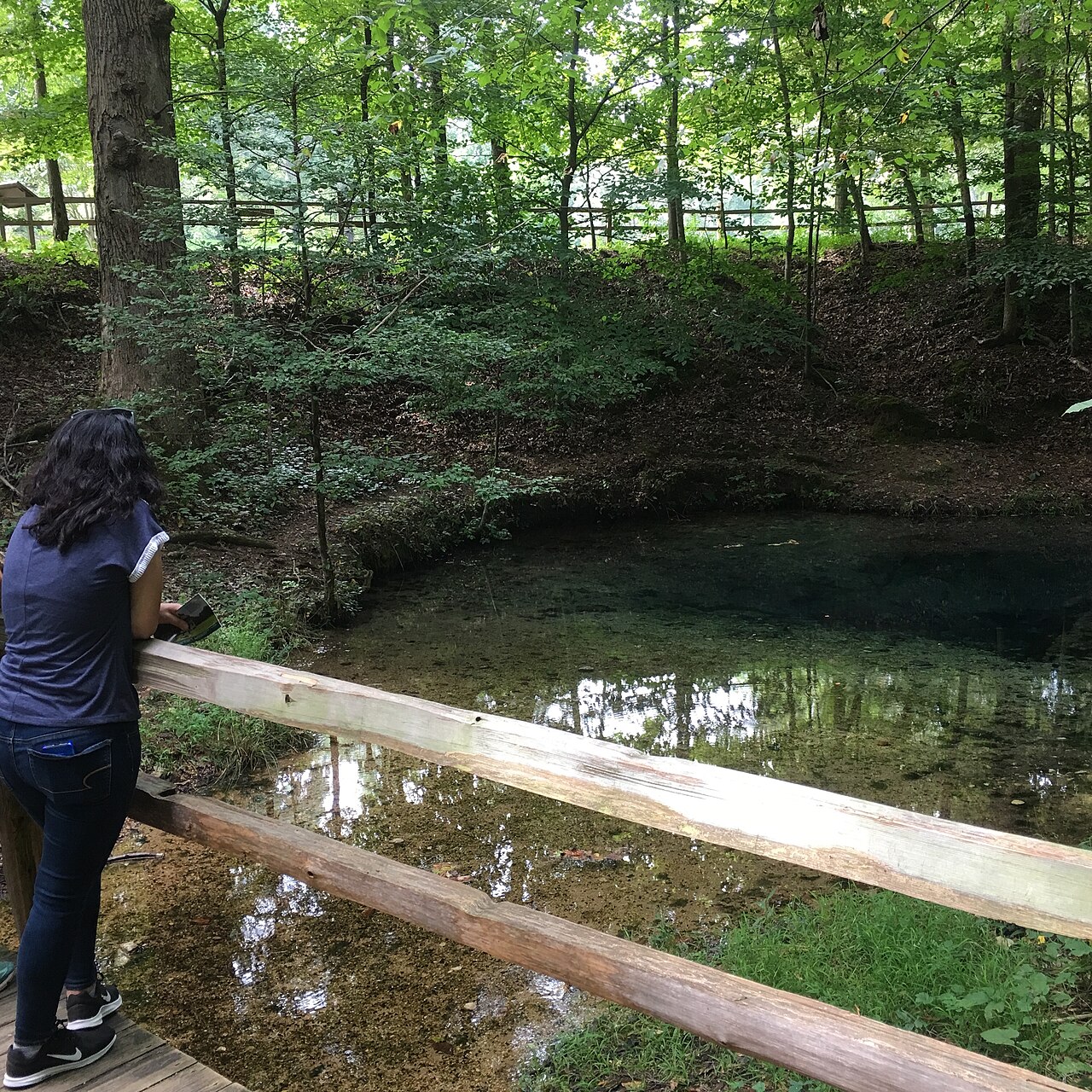 A park visitor enjoys the Sacred Blue Hole Spring at Red Clay State Historic Park in Cleveland, Tennessee (0ed33206-1b61-4e21-b7e4-ab4ecf3a9f97).JPG