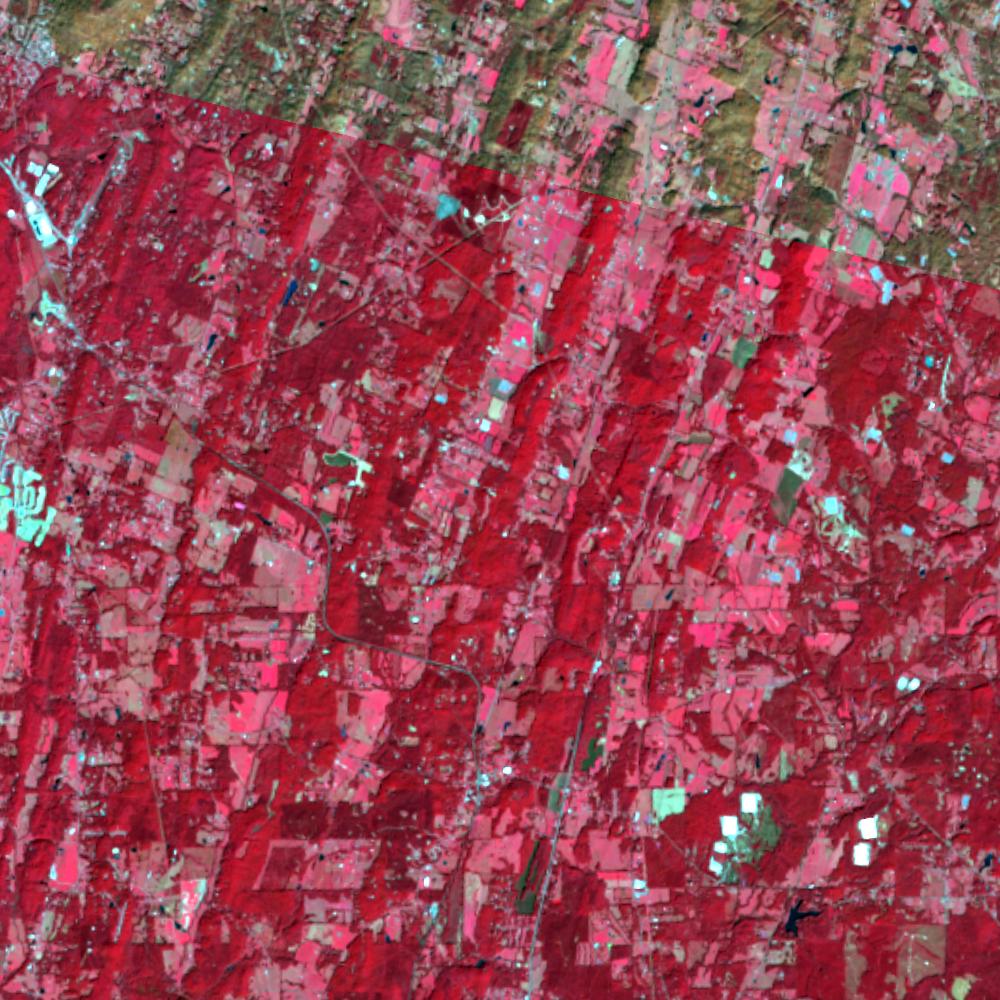 Landsat color-infrared false color (recent)
