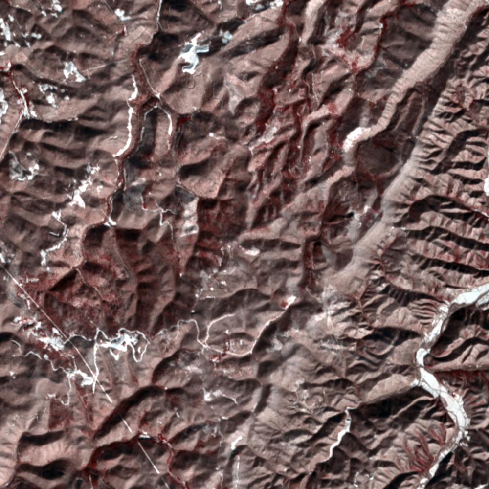 Landsat color-infrared false color (recent)